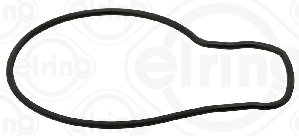 Gasket, water pump 468.660