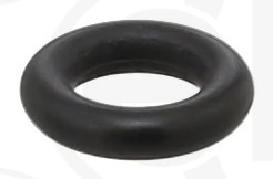 Seal Ring 780.154