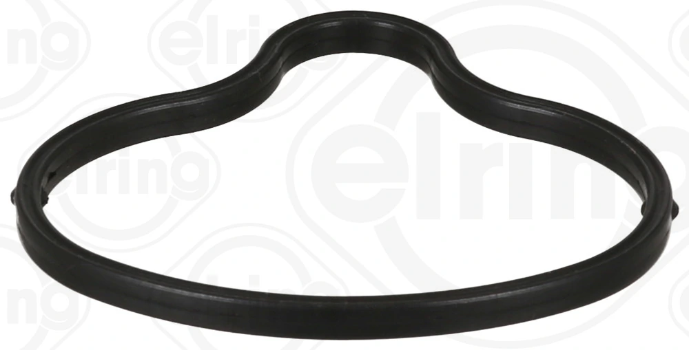 Gasket, intake manifold 727.920