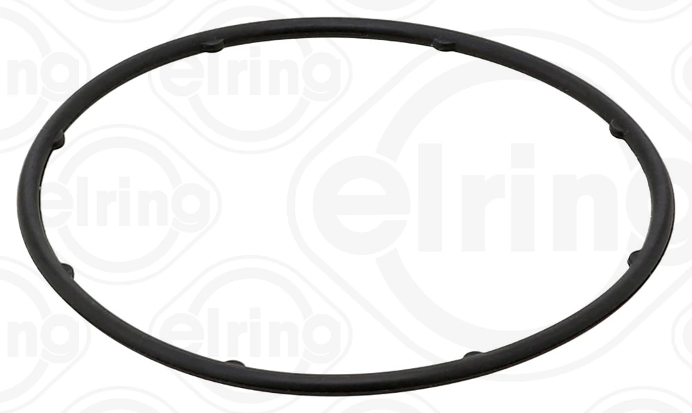 Seal Ring, water pump 800.940