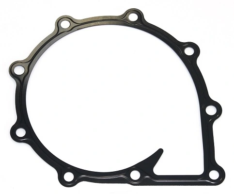 Gasket, water pump 021.250
