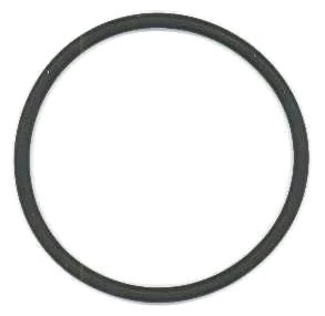 Seal Ring 703.087