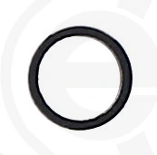 Seal Ring, injector 082.200