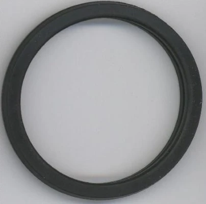 Seal Ring 027.450