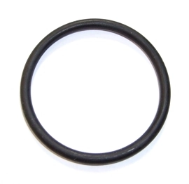 Seal Ring 098.418