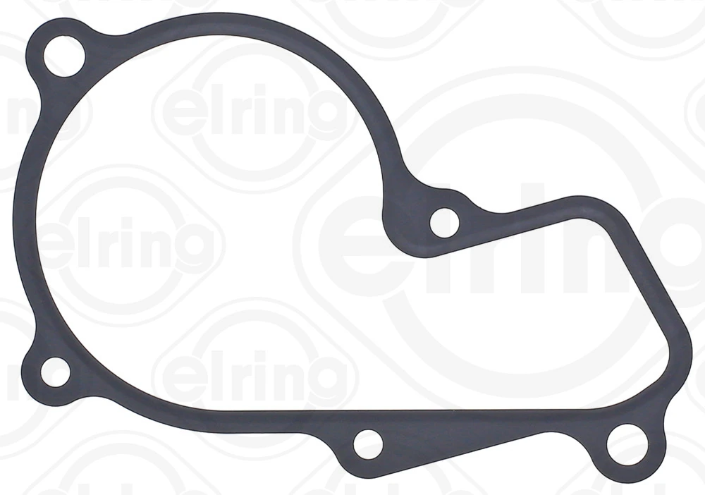 Gasket, water pump 854.160