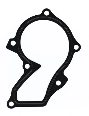 Gasket, water pump 264.420