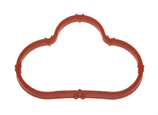 Gasket, intake manifold 216.500