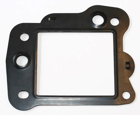 Gasket, EGR valve 449.550