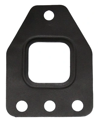 Gasket, Manifold Ekzos 589.270