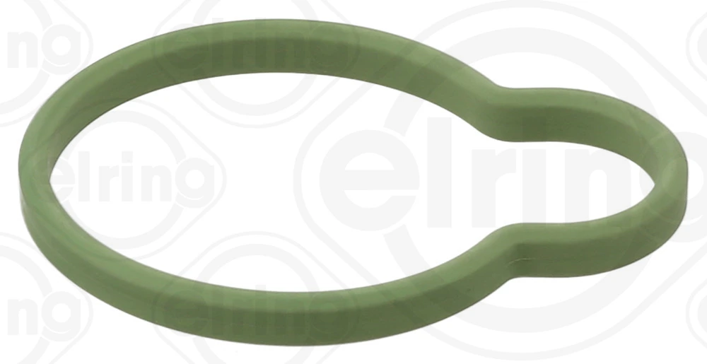 Gasket, intake manifold 900.109