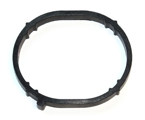 Gasket, intake manifold 172.460