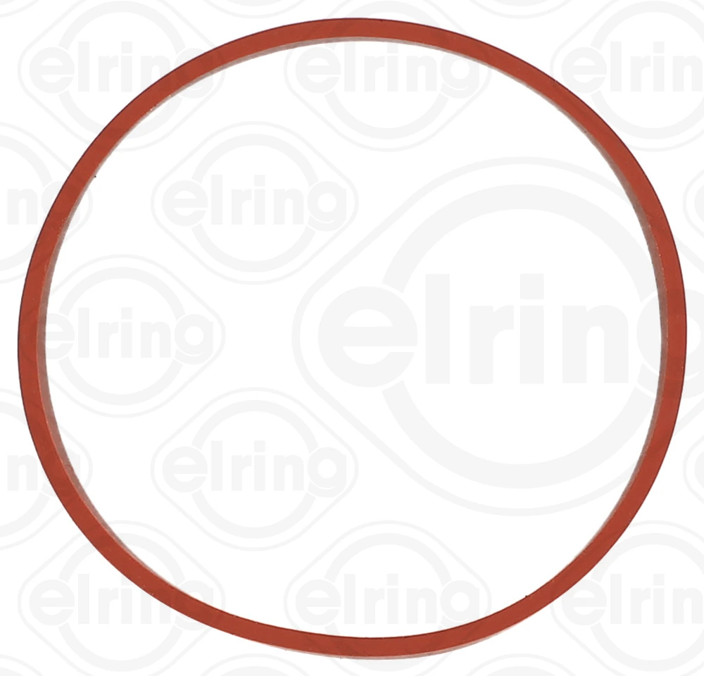 Gasket, EGR valve 424.850
