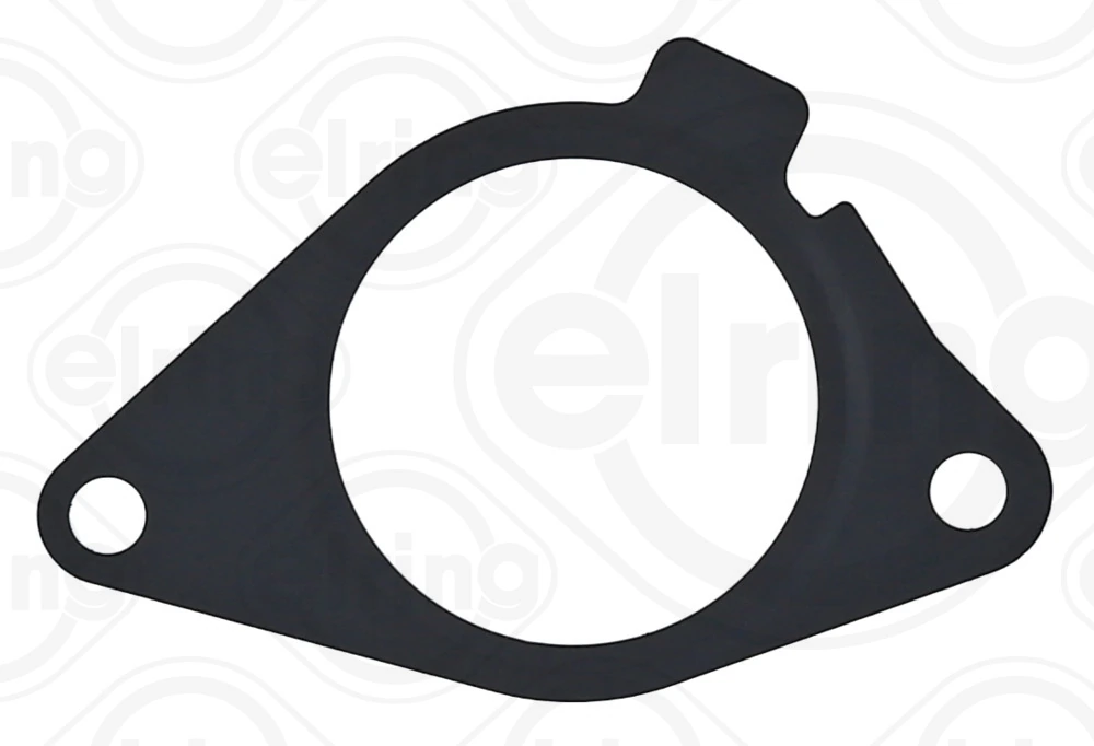 Gasket, EGR valve 380.070