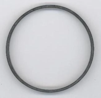 Seal Ring 071.220