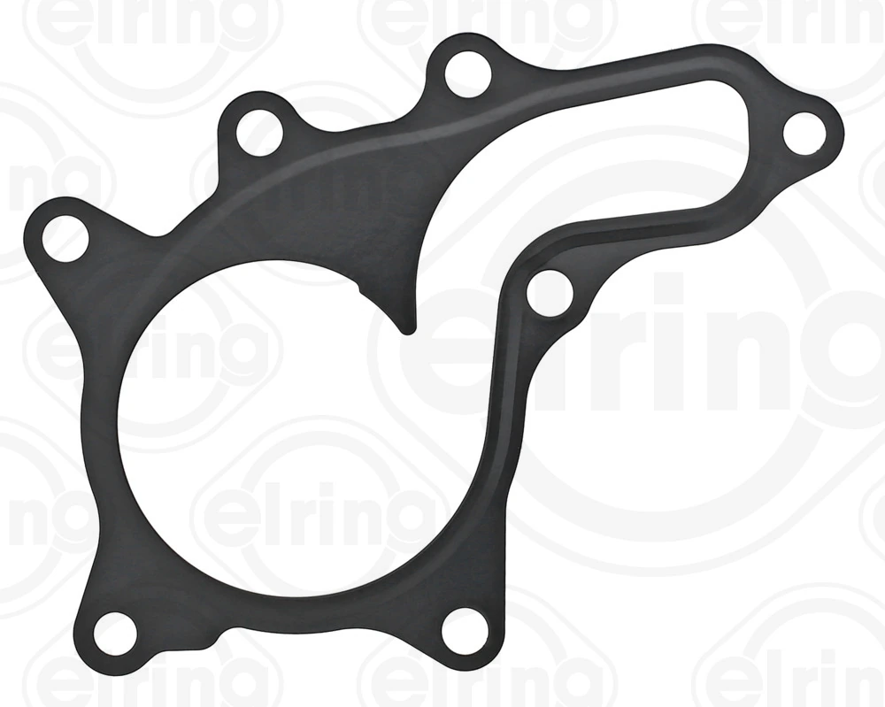Gasket, water pump 966.870