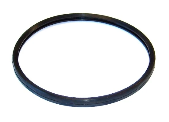 Seal Ring 729.170