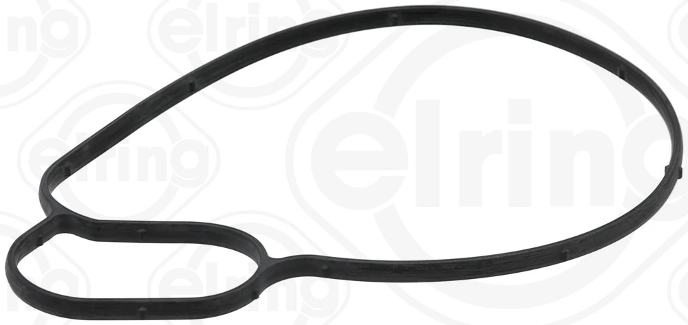 Gasket, water pump 251.050