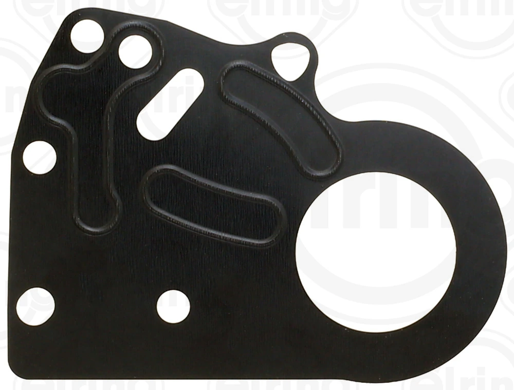 Gasket, timing case 876.510