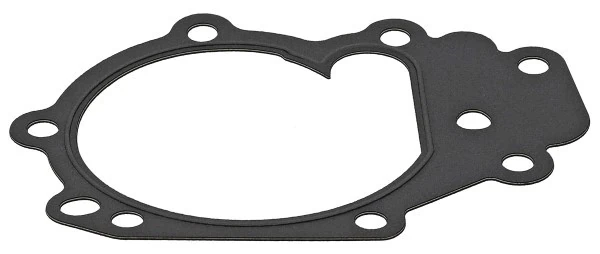 Gasket, water pump 875.390