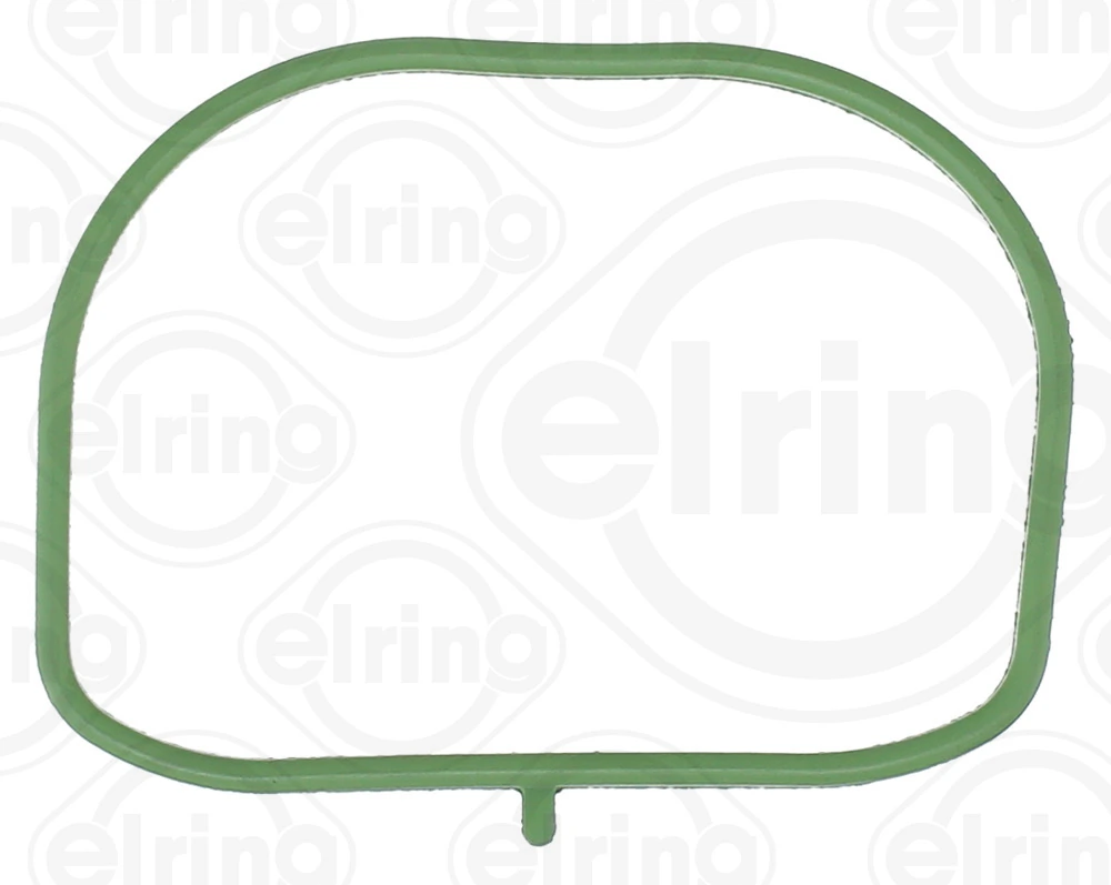 Gasket, intake manifold 874.301