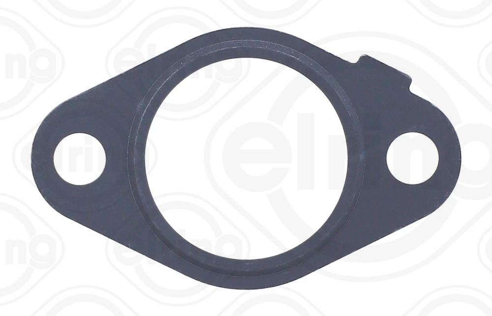 Gasket, EGR valve 489.990