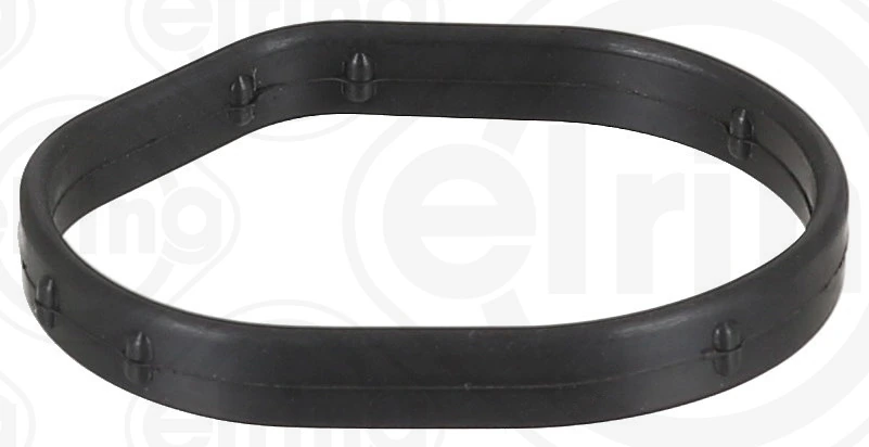 Gasket, timing case 698.170