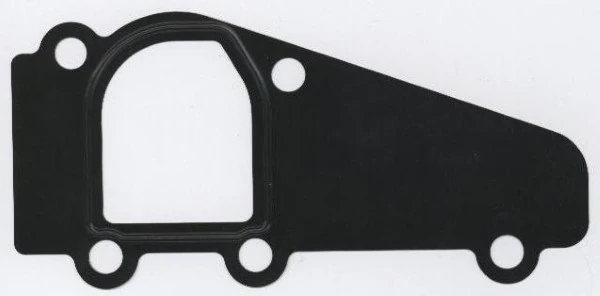 Gasket, coolant flange 490.671