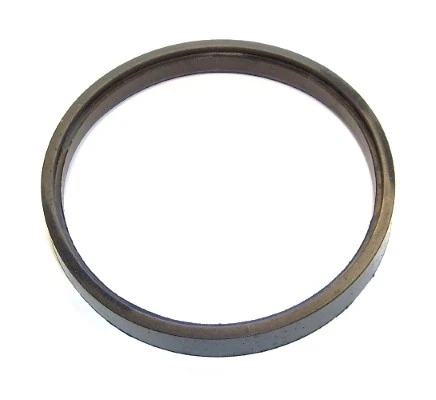 Seal Ring 202.924