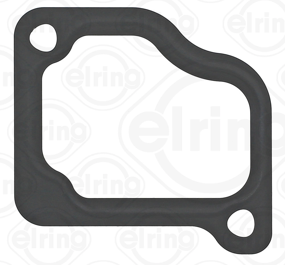Gasket, intake manifold 687.600