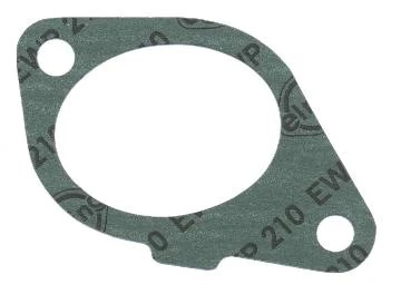 Gasket, intake manifold 773.800