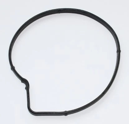 Gasket, Pam Air 130.490