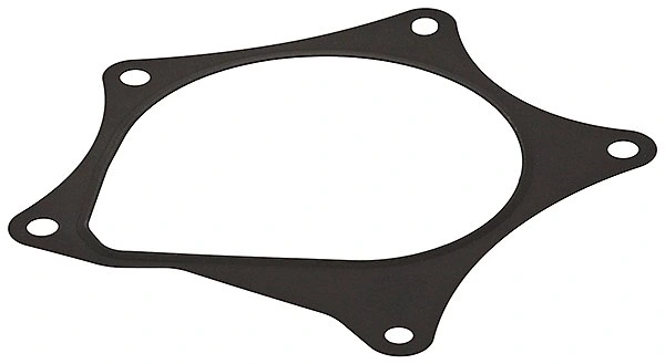Gasket, water pump 876.160