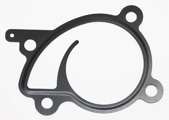 Gasket, water pump 449.440