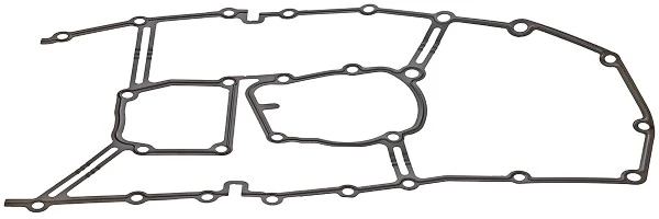 Gasket, timing case 919.899
