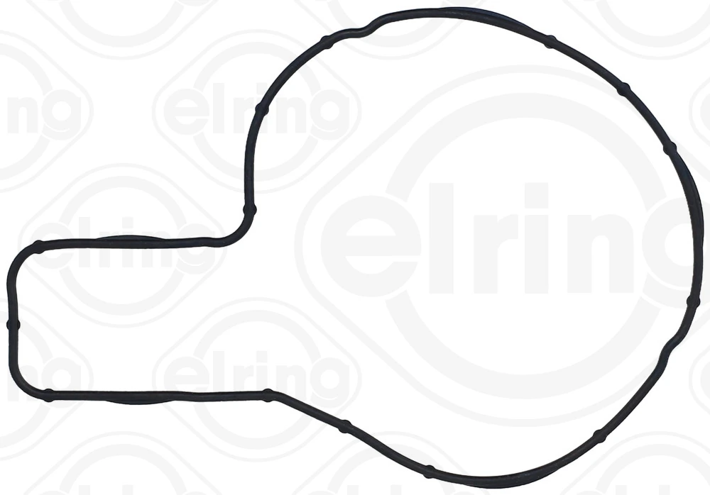 Gasket, water pump 545.790