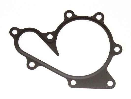 Gasket, water pump 899.520