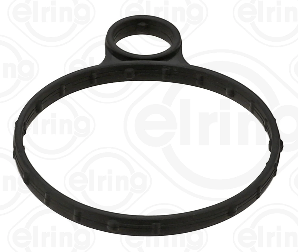 Gasket, vacuum pump 982.400