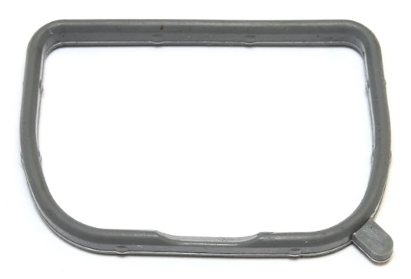 Gasket, intake manifold 586.130