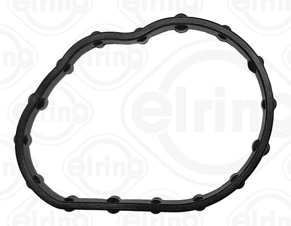 Gasket, coolant flange 851.260