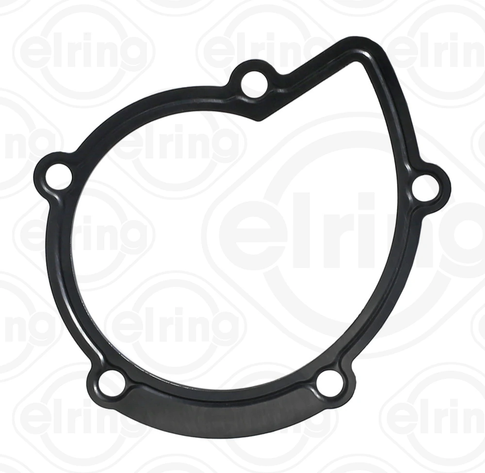 Gasket, water pump 394.280