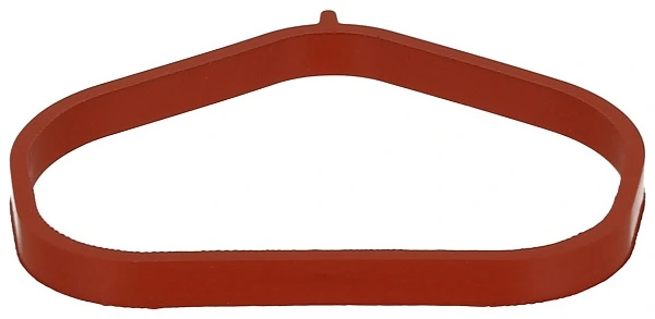 Gasket, intake manifold 701.640