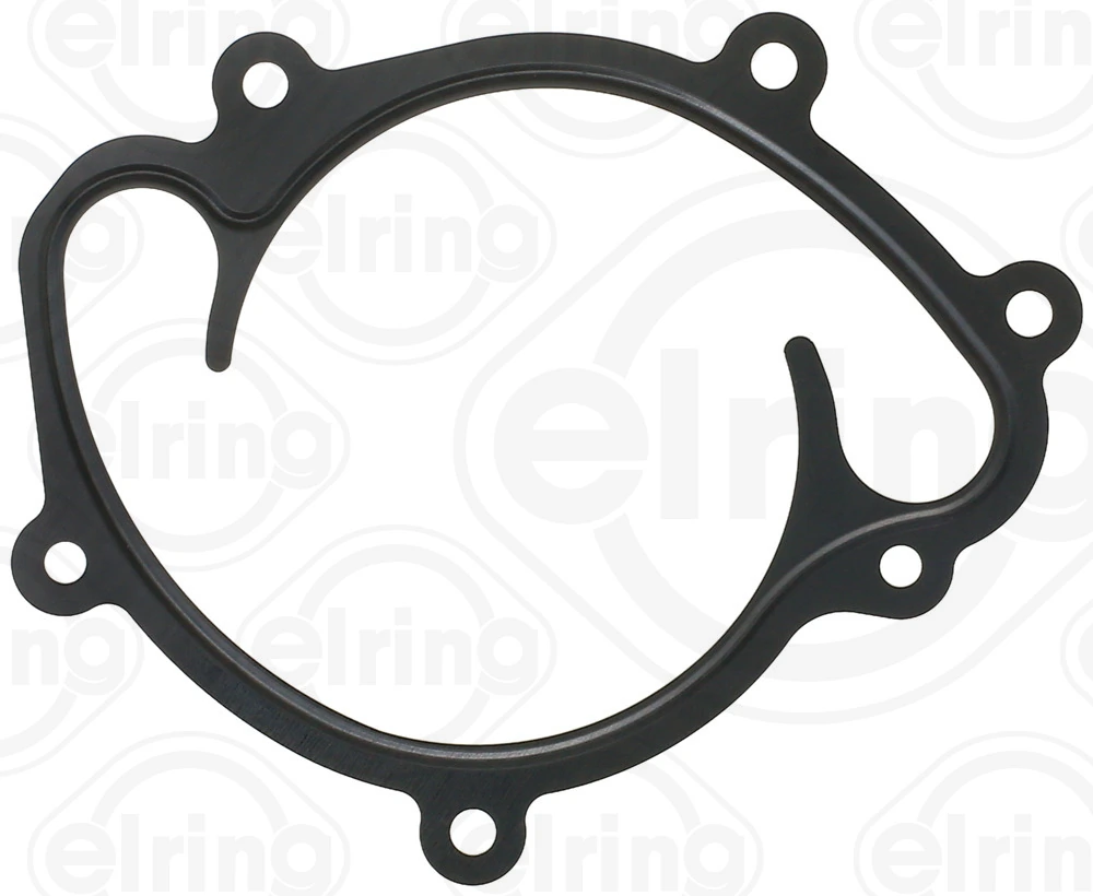 Gasket, water pump 540.880