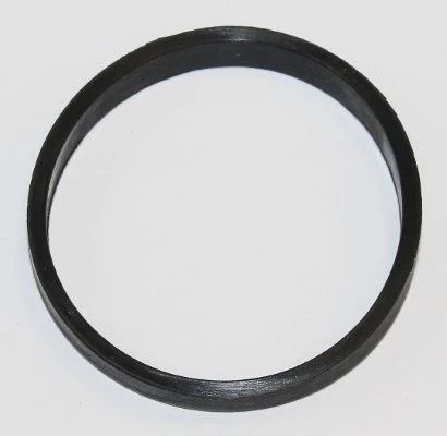 Gasket, coolant flange 590.290