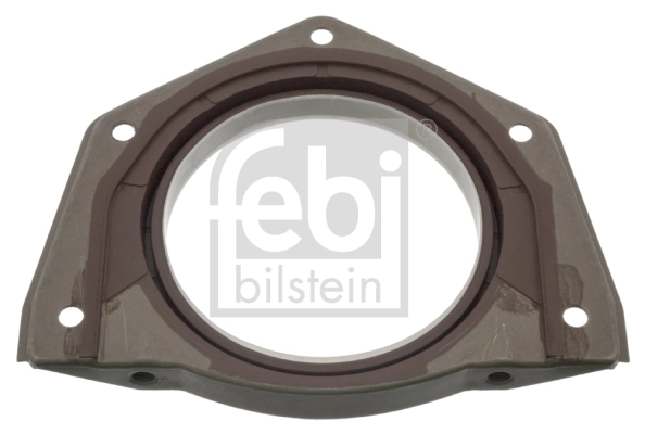 Shaft Seal, crankshaft 100284