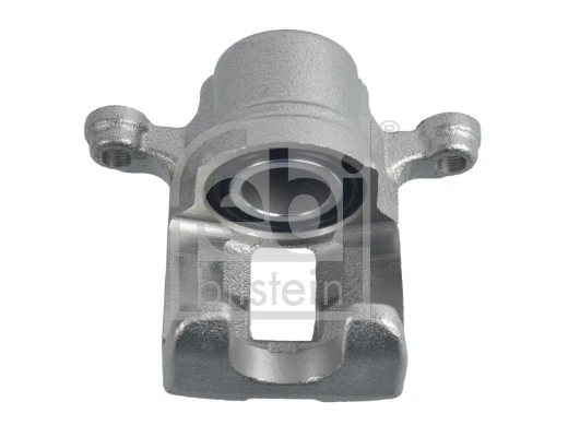 Brake Caliper 181175