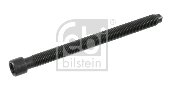 Cylinder Head Bolt 21586