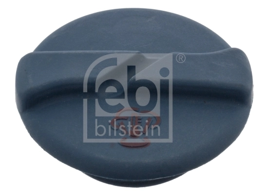 Cap, coolant tank 40724