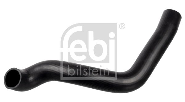 Radiator Hose 174432