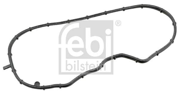 Gasket, timing case 180636